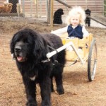Mac's first ride