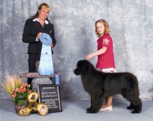 Tug Best Puppy In Regional Specialty Show