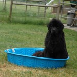 loves the pool