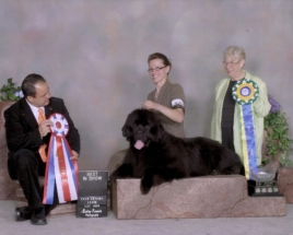 Oscar - BEST IN SHOW