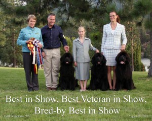 2010 International Show-Mostabear Wins It All !