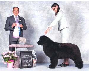 Maizy - 2012 Spec - RWF