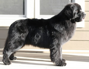 Morley 2yrs