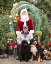 Cinna - with Riki, Glenda and Santa 2016